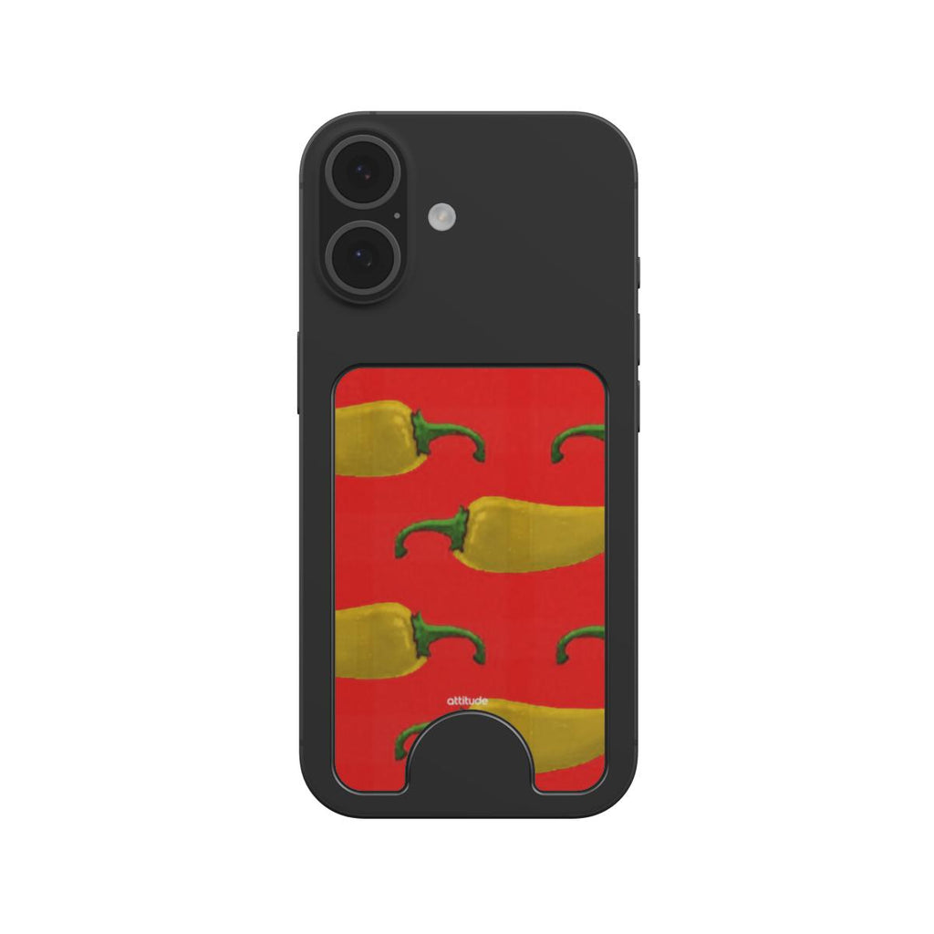 Magnetic Wallet