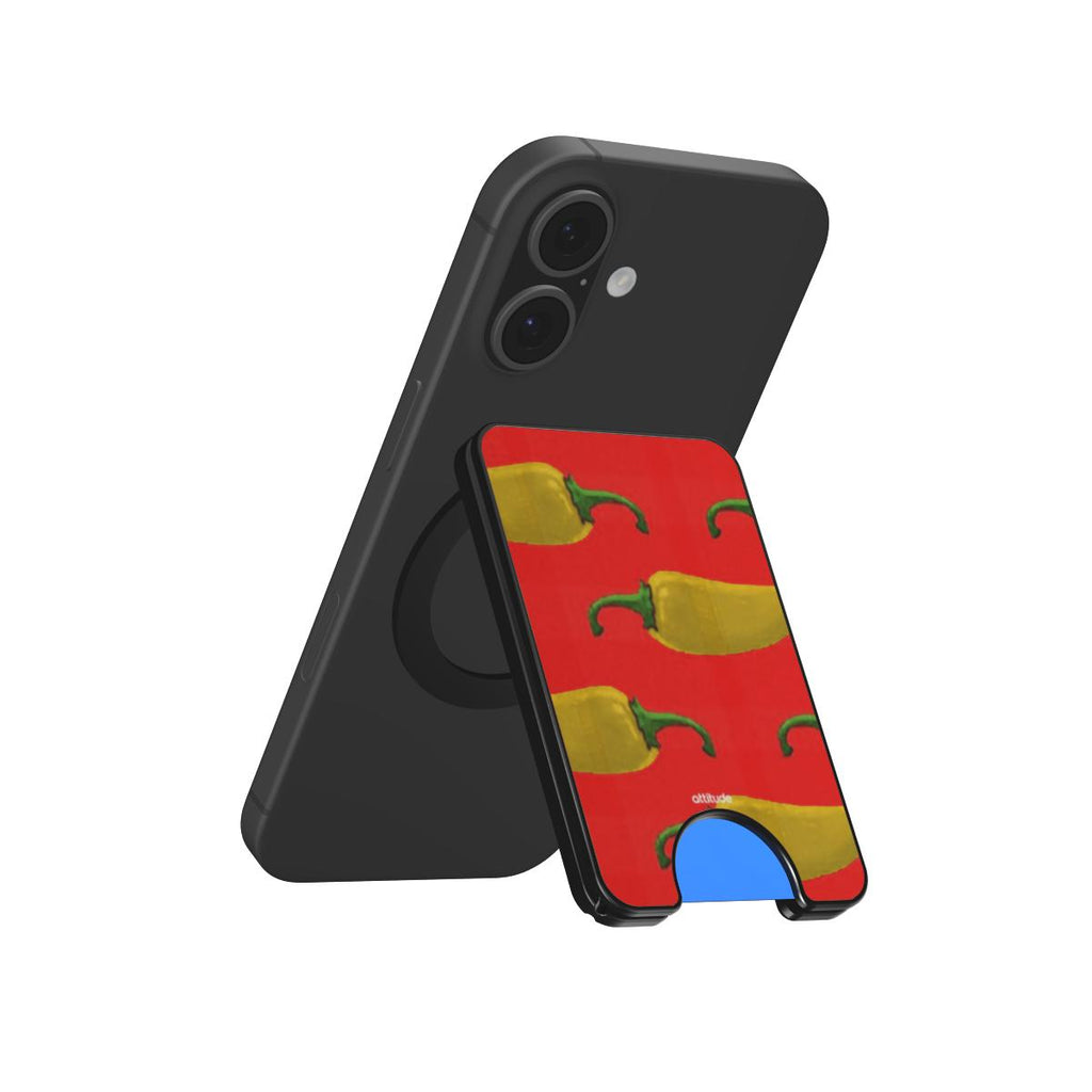 Magnetic Wallet