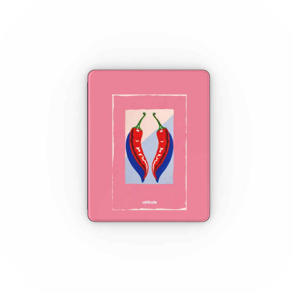 Apple iPad Case