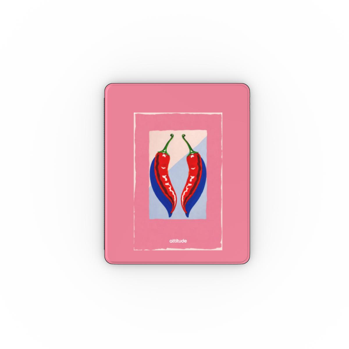 Apple iPad Case