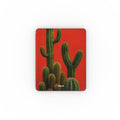 Apple iPad Case