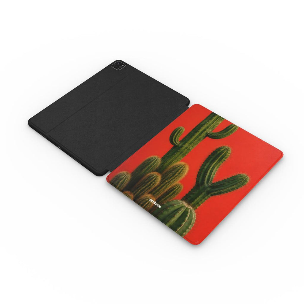 Apple iPad Case
