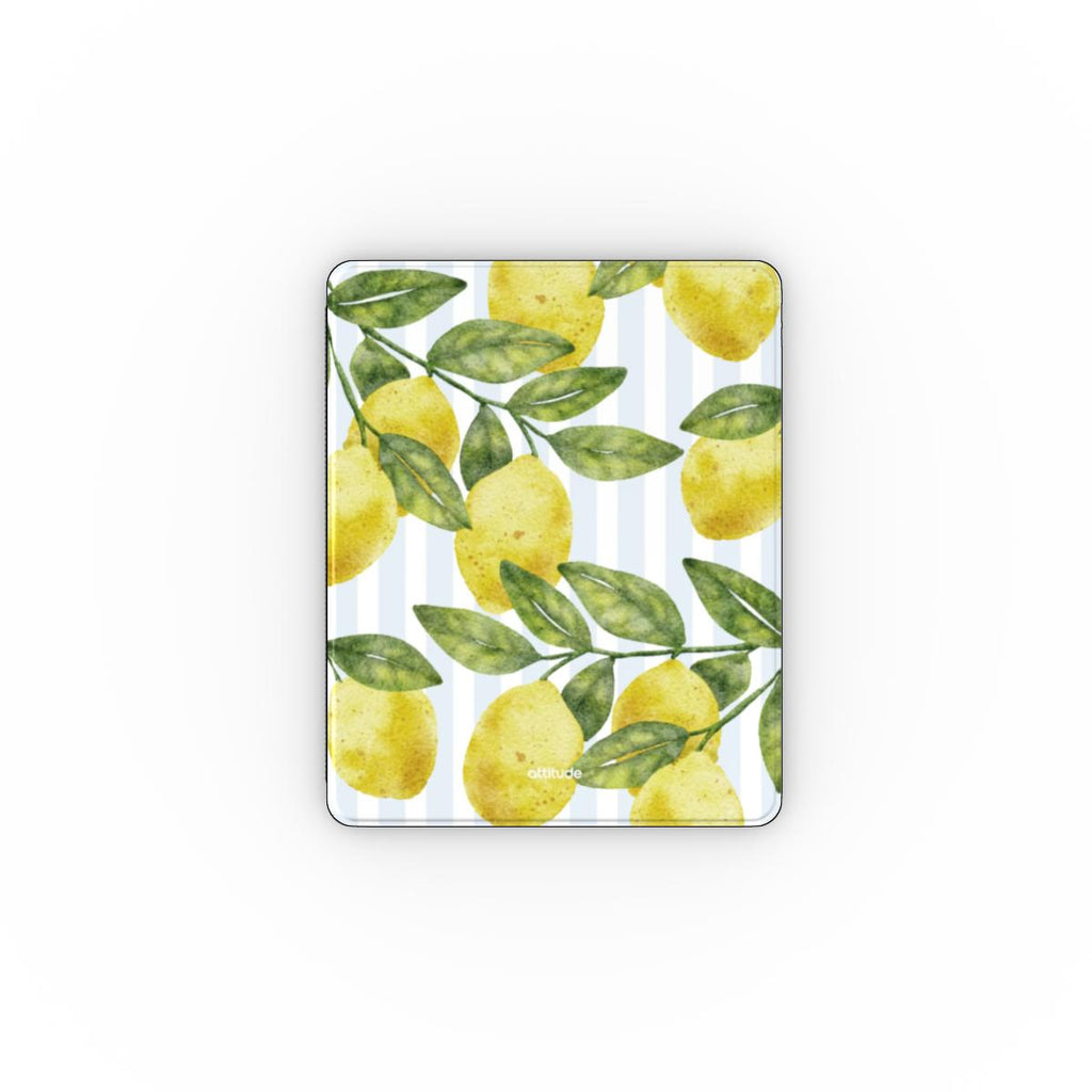 Apple iPad Case