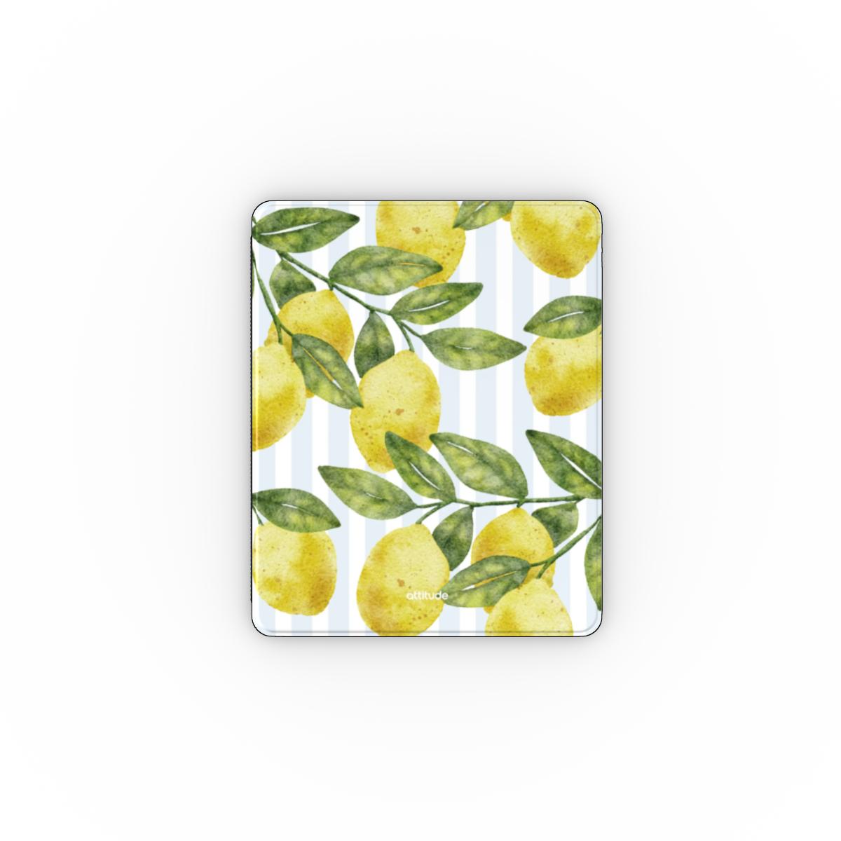 Apple iPad Case
