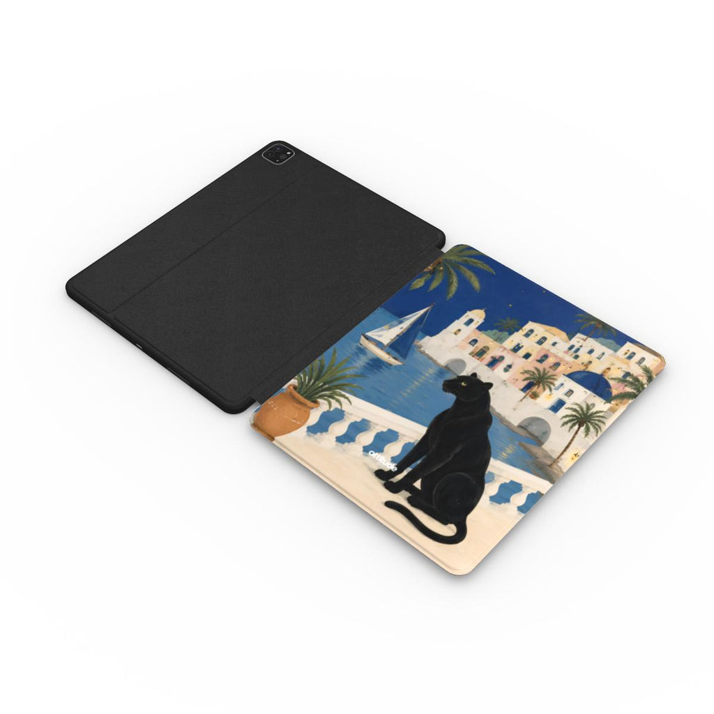 Apple iPad Case