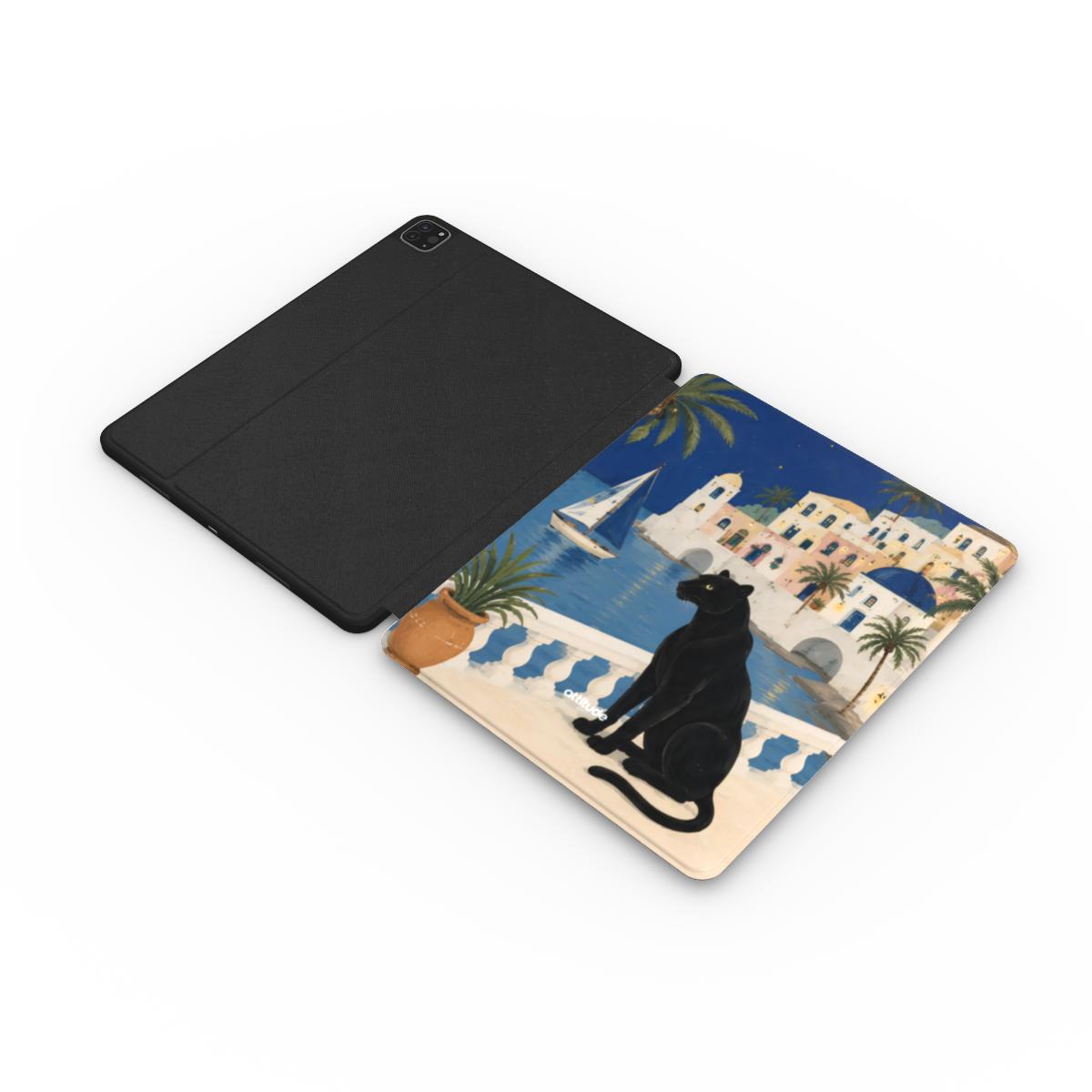 Apple iPad Case