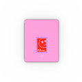 Apple iPad Case