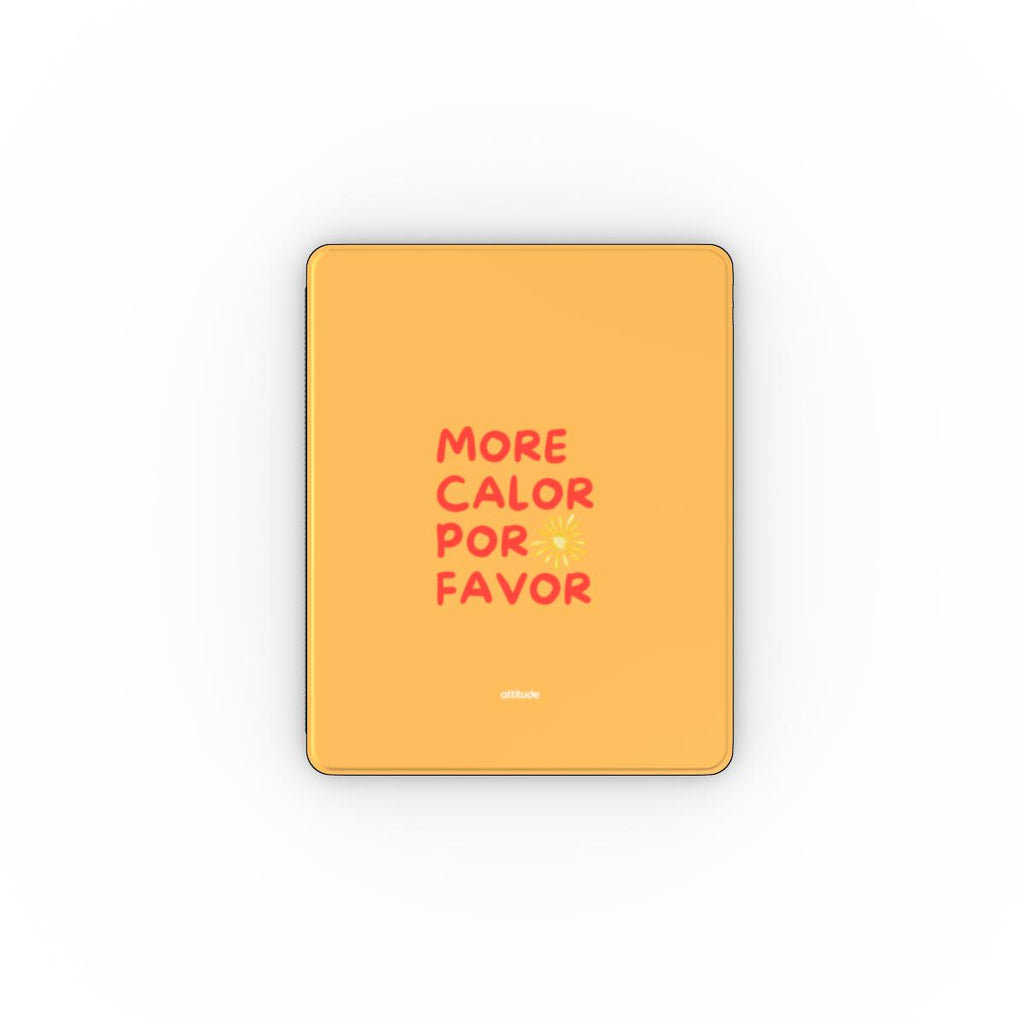 Apple iPad Case