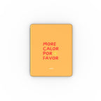 Apple iPad Case