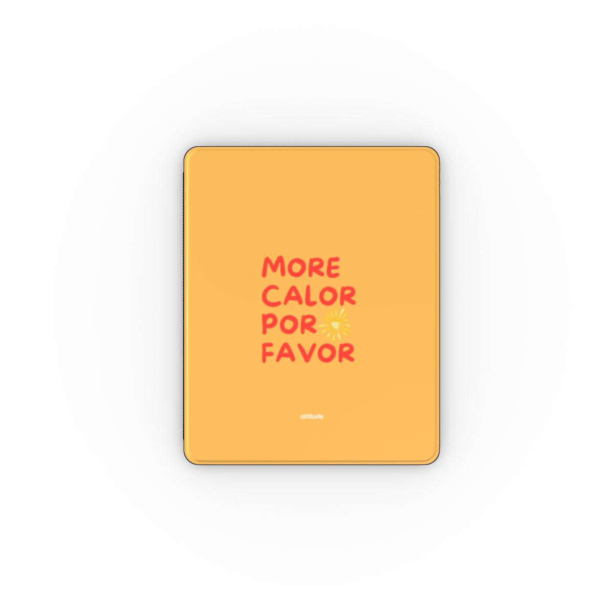 Apple iPad Case