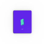 Apple iPad Case