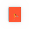 Apple iPad Case