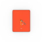 Apple iPad Case