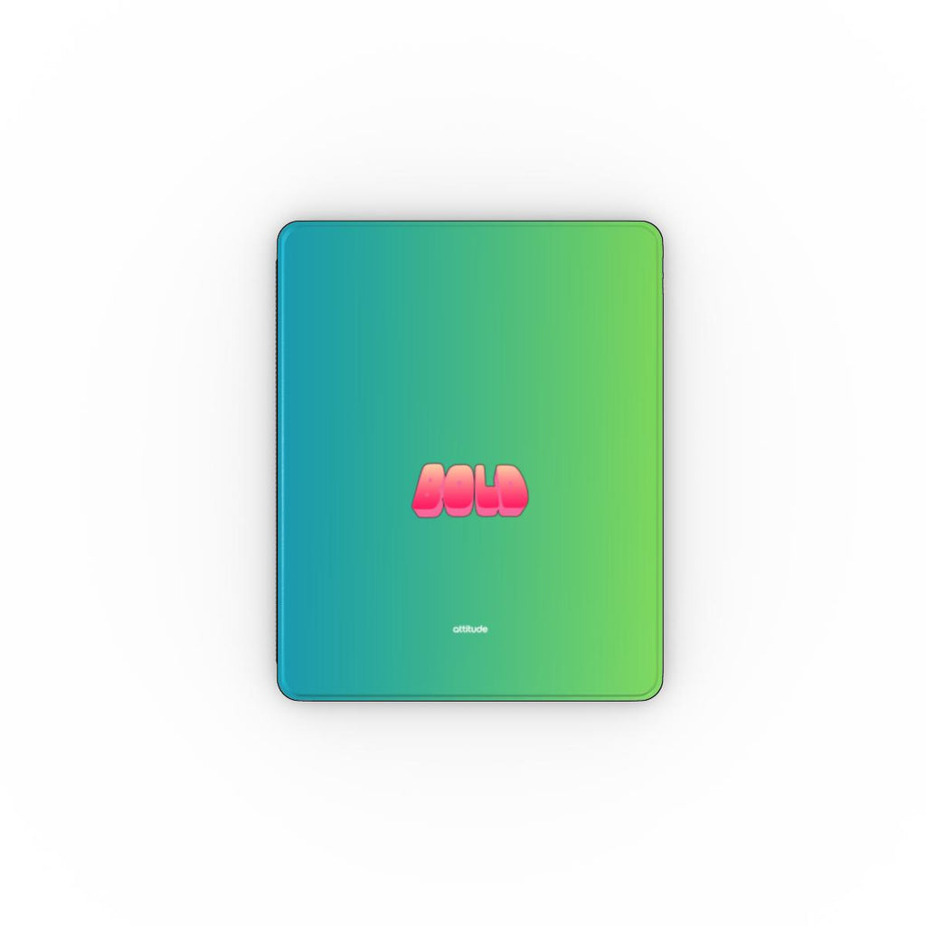 Apple iPad Case