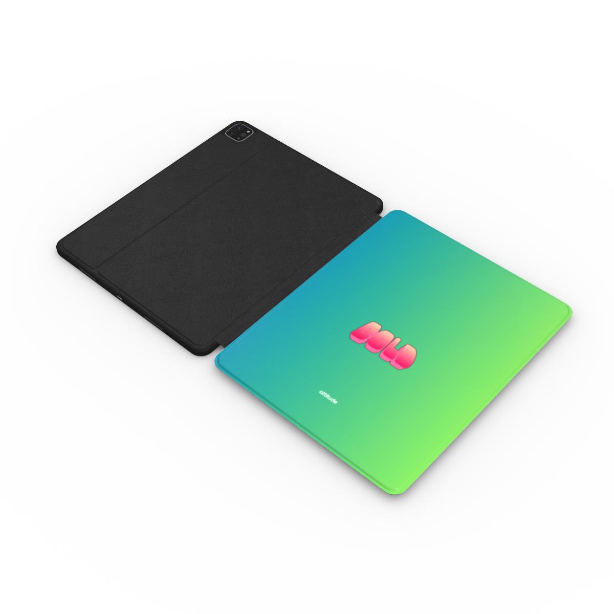 Apple iPad Case