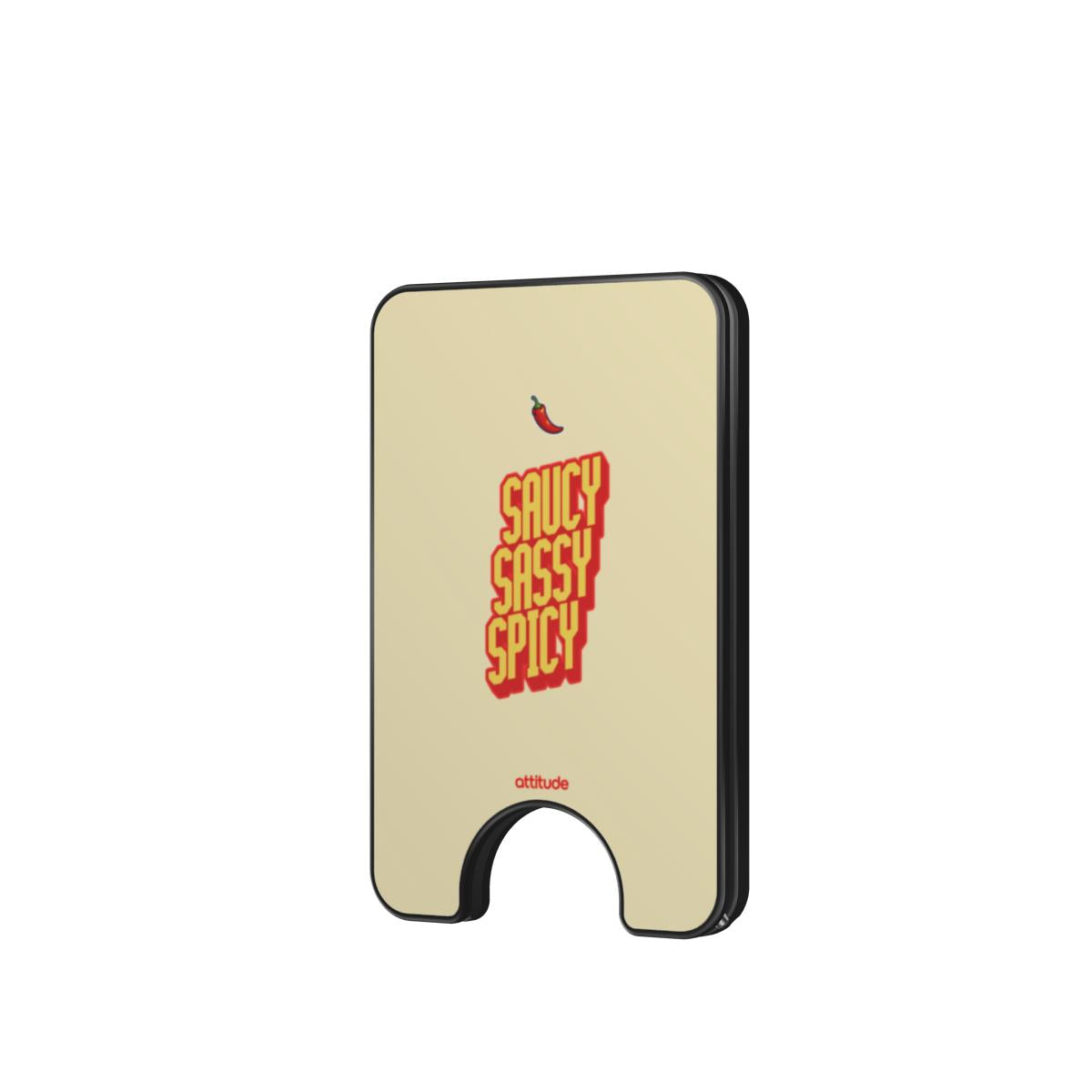 Magnetic Wallet