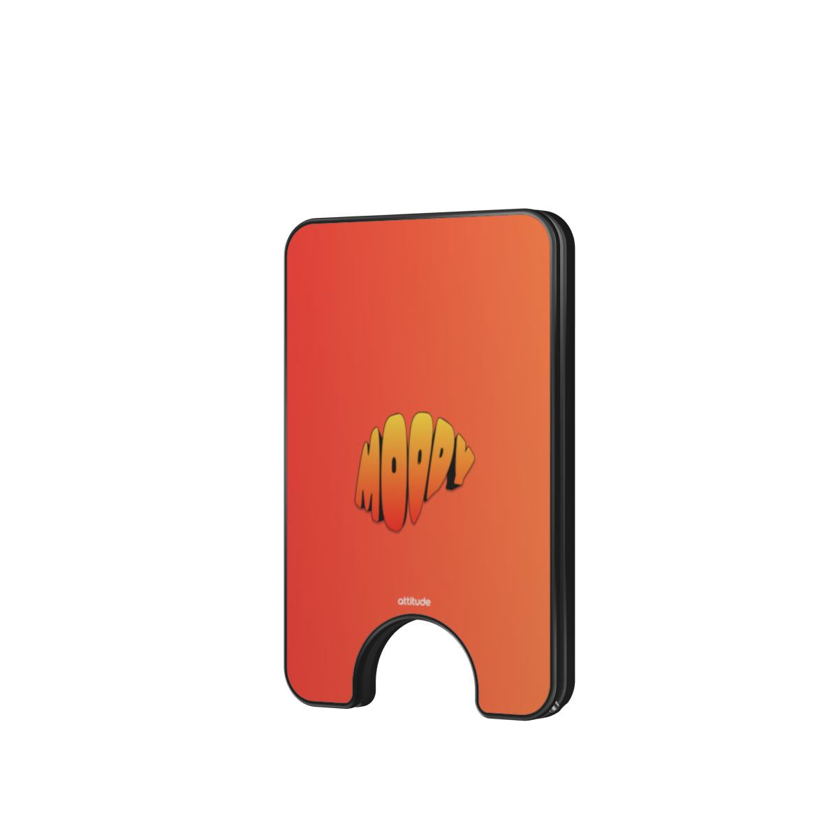 Magnetic Wallet