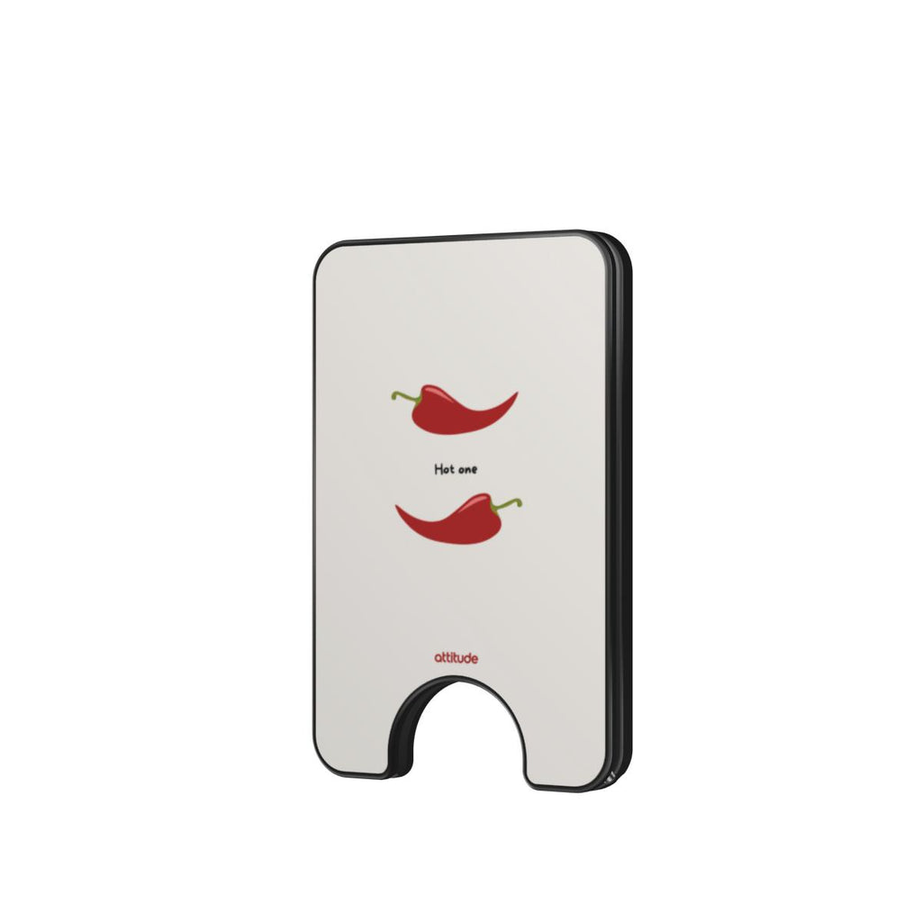 Magnetic Wallet