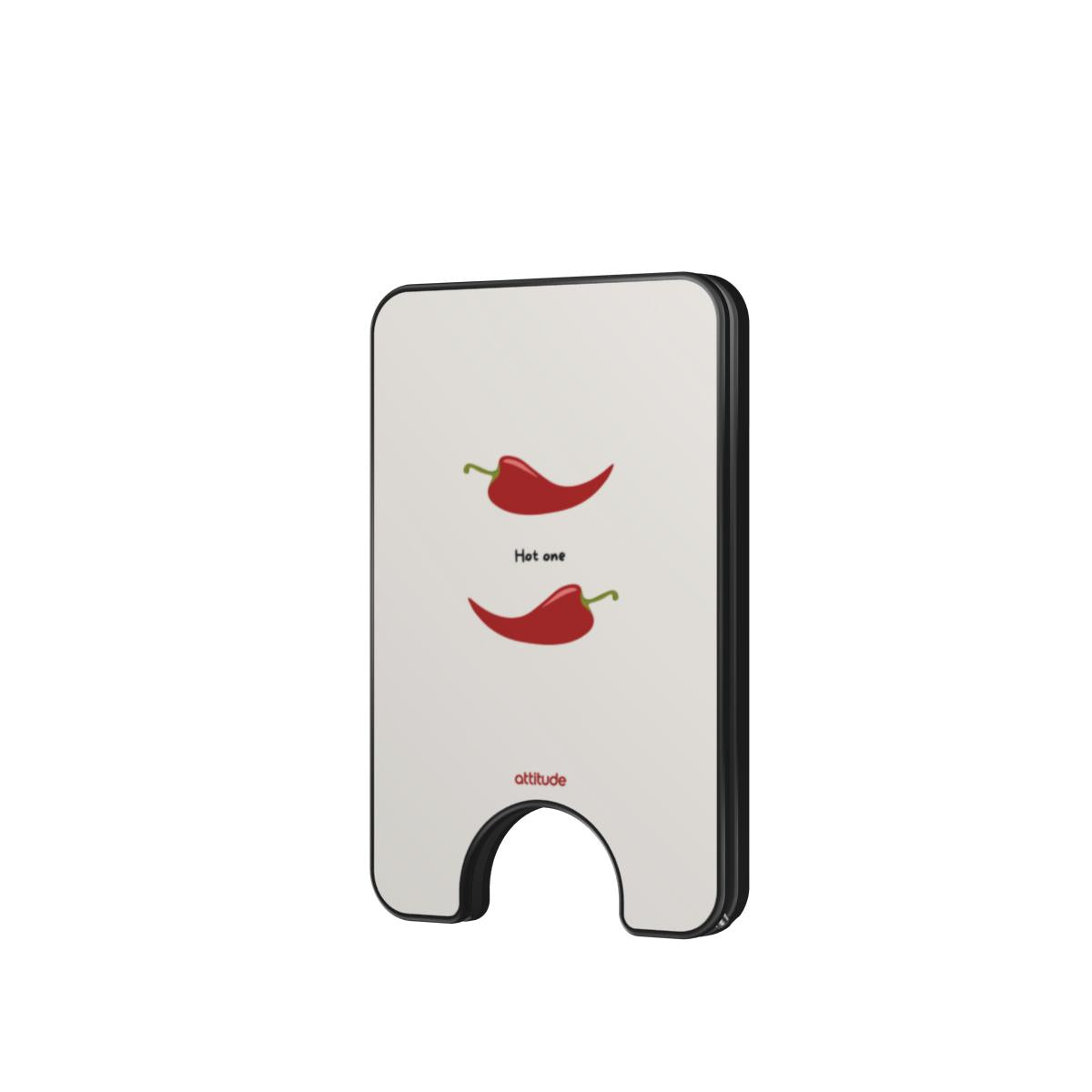 Magnetic Wallet
