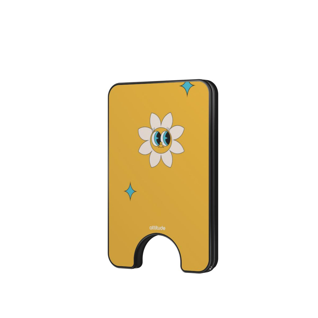 Magnetic Wallet