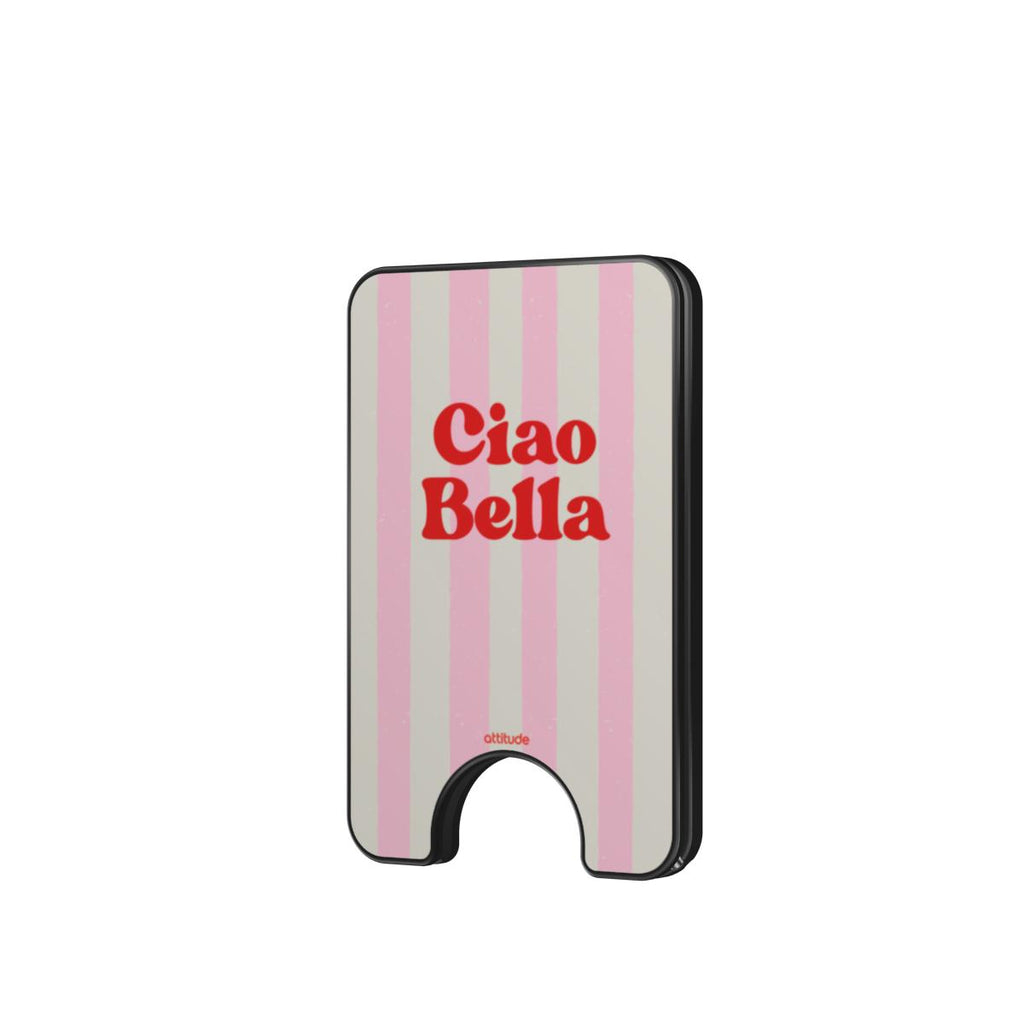 Magnetic Wallet