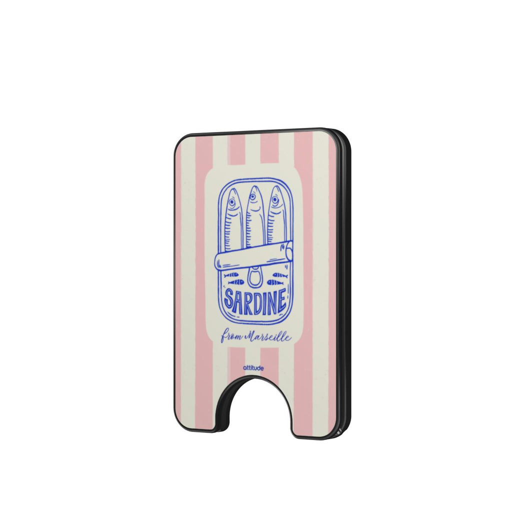 Magnetic Wallet