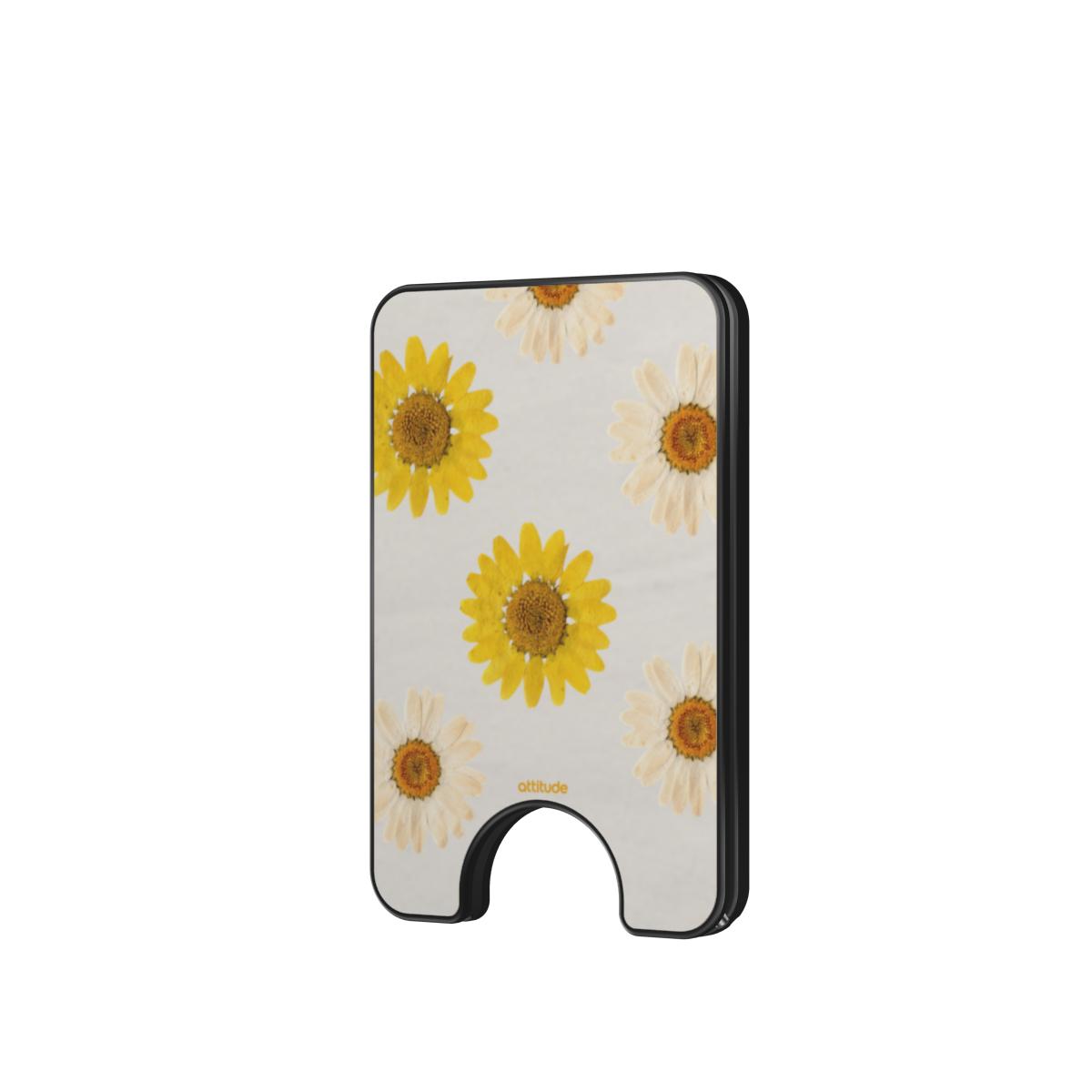Magnetic Wallet