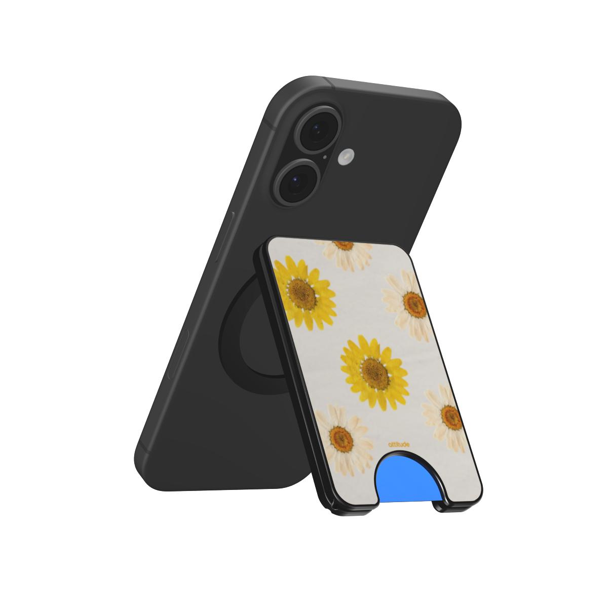 Magnetic Wallet