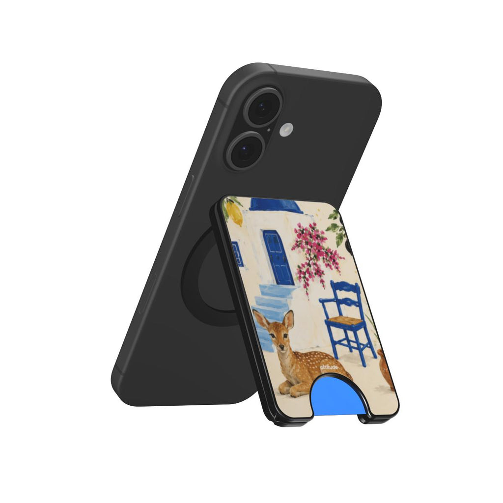 Magnetic Wallet