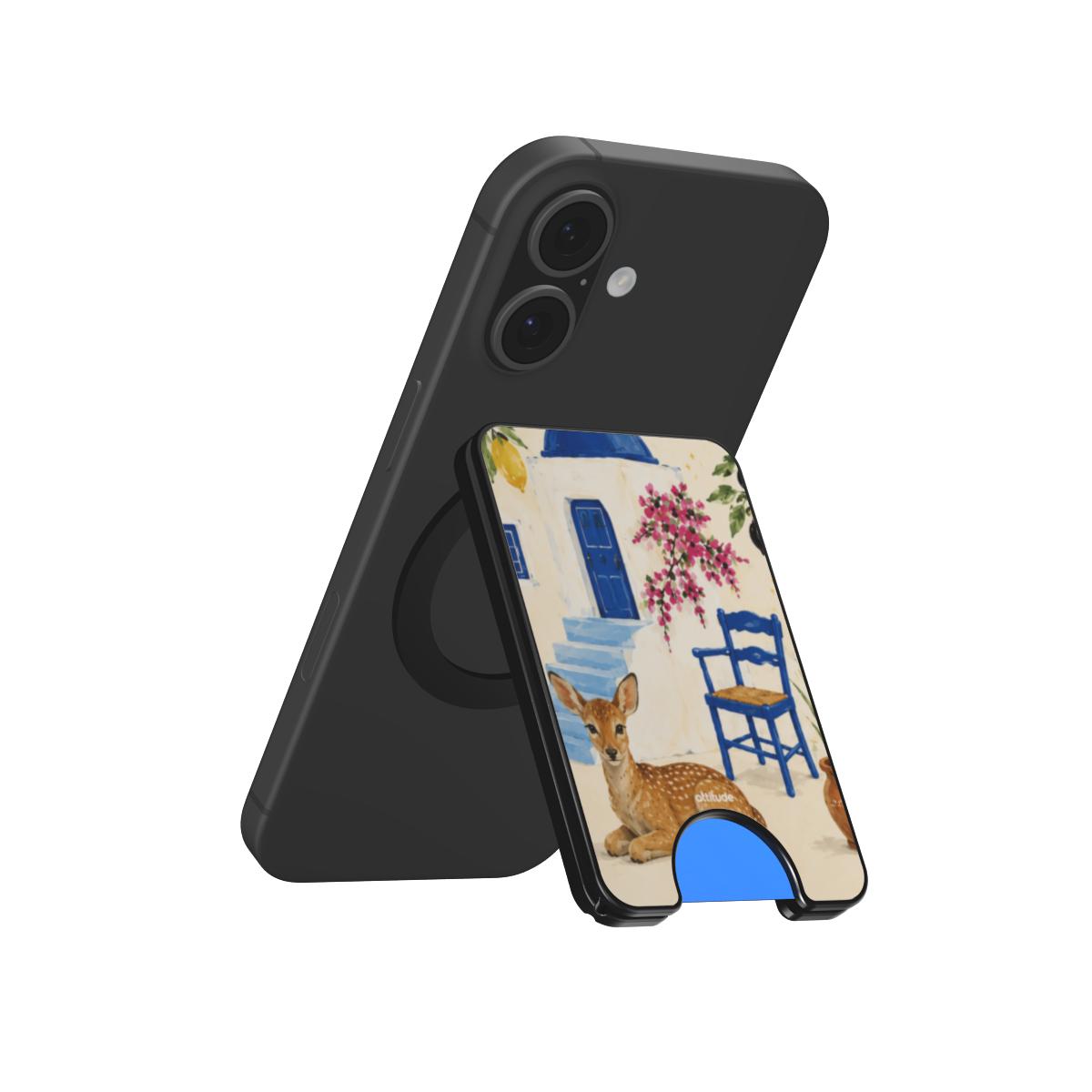 Magnetic Wallet
