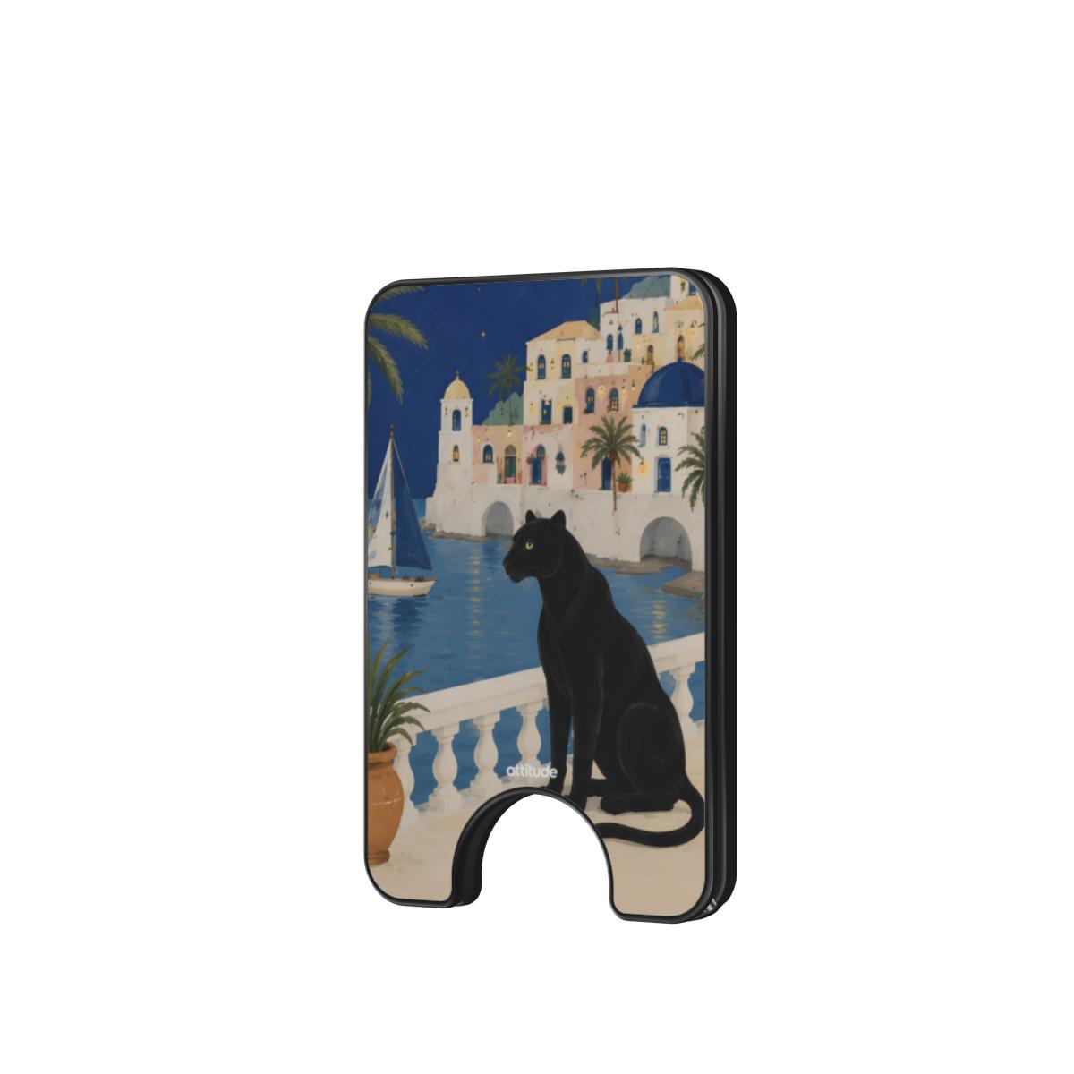 Magnetic Wallet