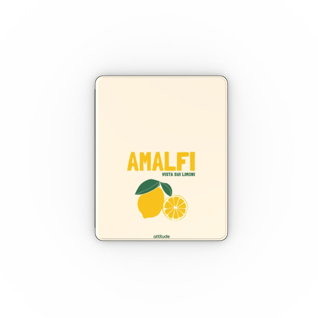 Apple iPad Case